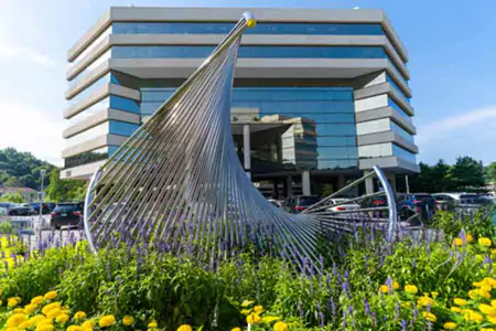 Laws of Nature outdoor sculpture surrounded by yellow flowers, building in background